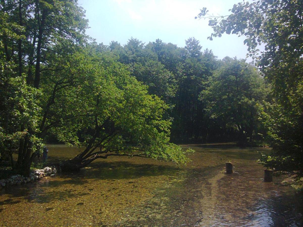 Villa Vrelo Bosne Σαράγεβο Εξωτερικό φωτογραφία