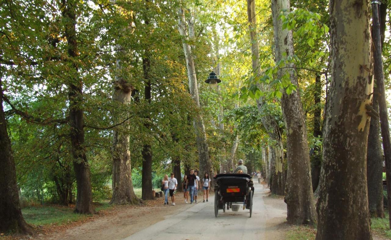 Villa Vrelo Bosne Σαράγεβο Εξωτερικό φωτογραφία