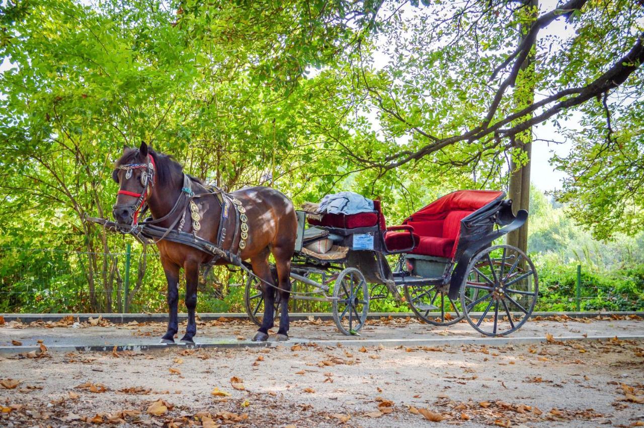 Villa Vrelo Bosne Σαράγεβο Εξωτερικό φωτογραφία
